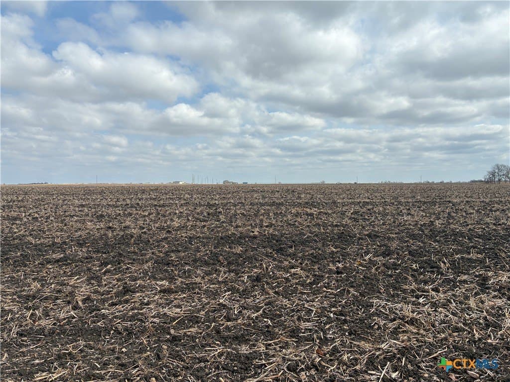 10.04 acres in Milam County gallery image 4
