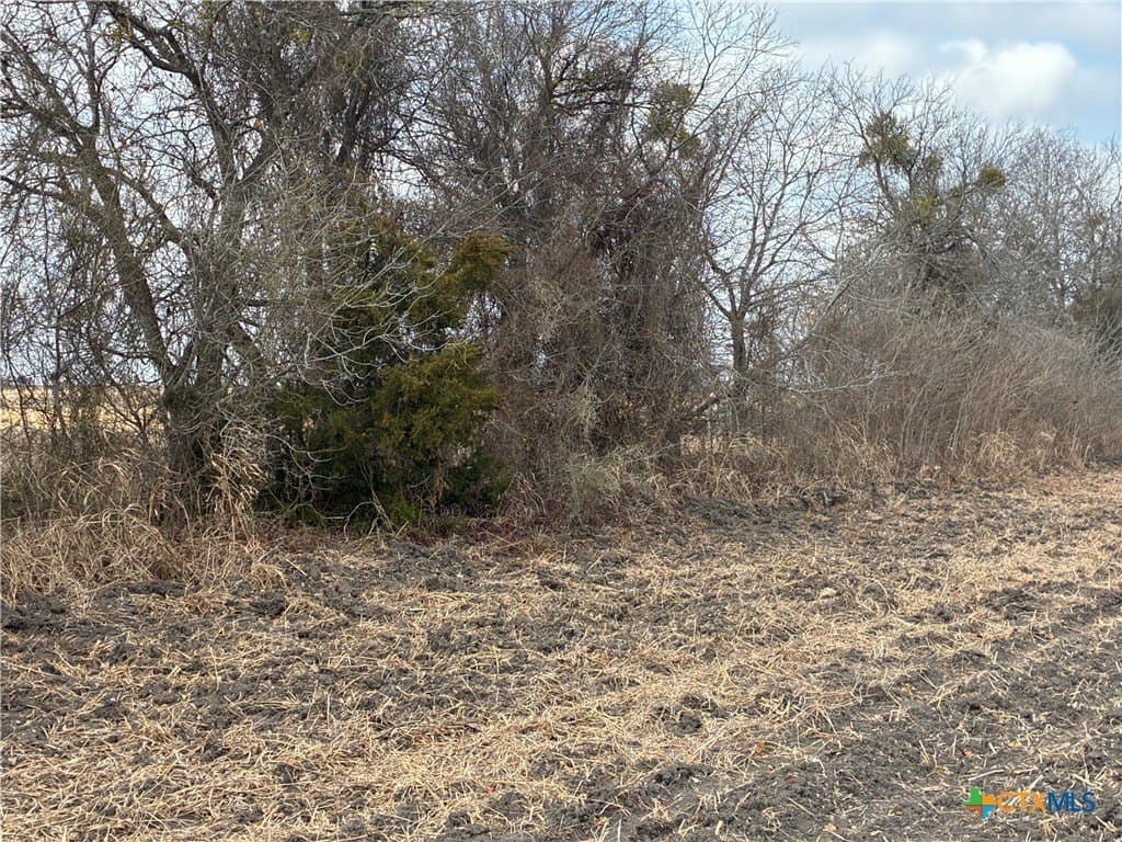 10.04 acres in Milam County featured view