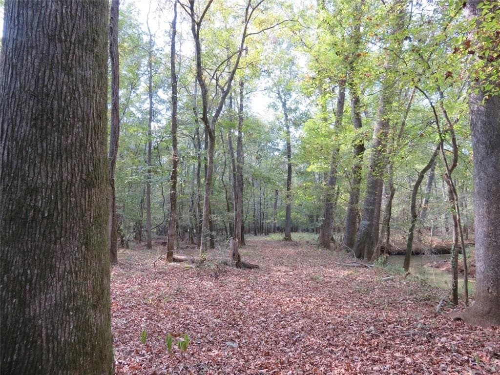 159.7 acres in Nacogdoches County