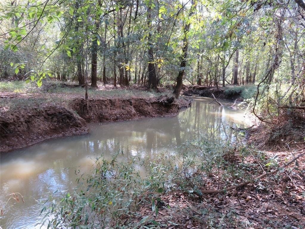 159.7 acres in Nacogdoches County gallery image 2