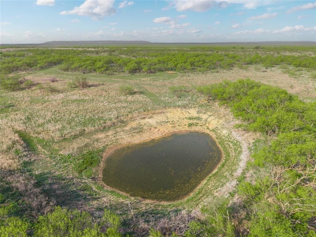 310.19 acres in Coleman County featured view