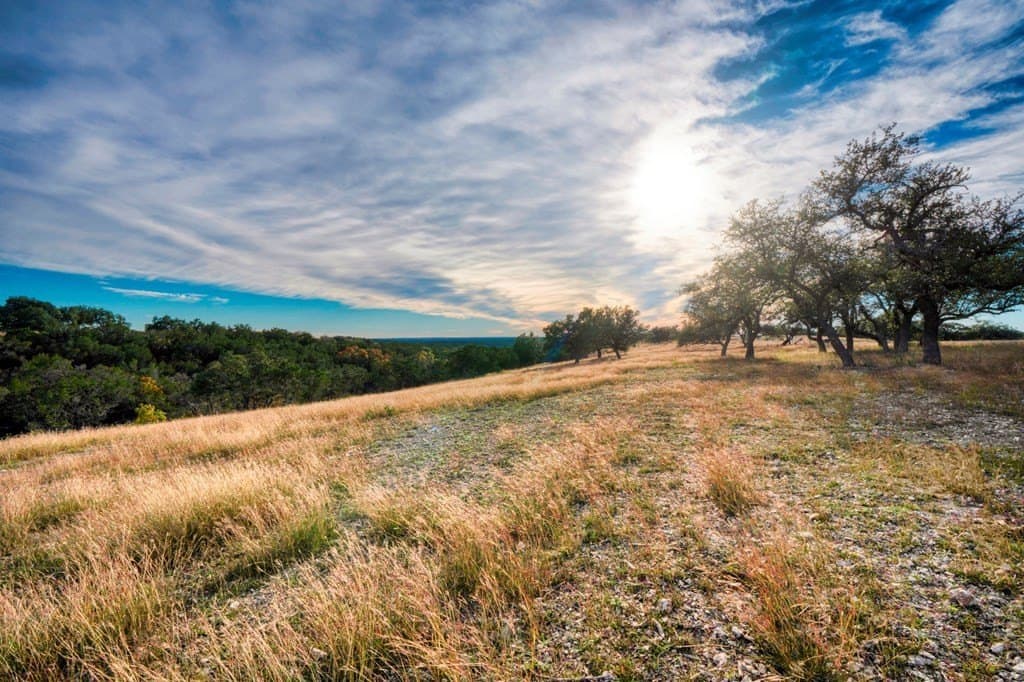 3.5 acres in Gillespie County - photo 11