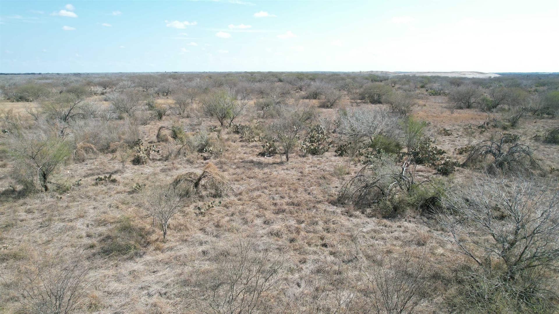 25 acres in Jim Wells County gallery image 4
