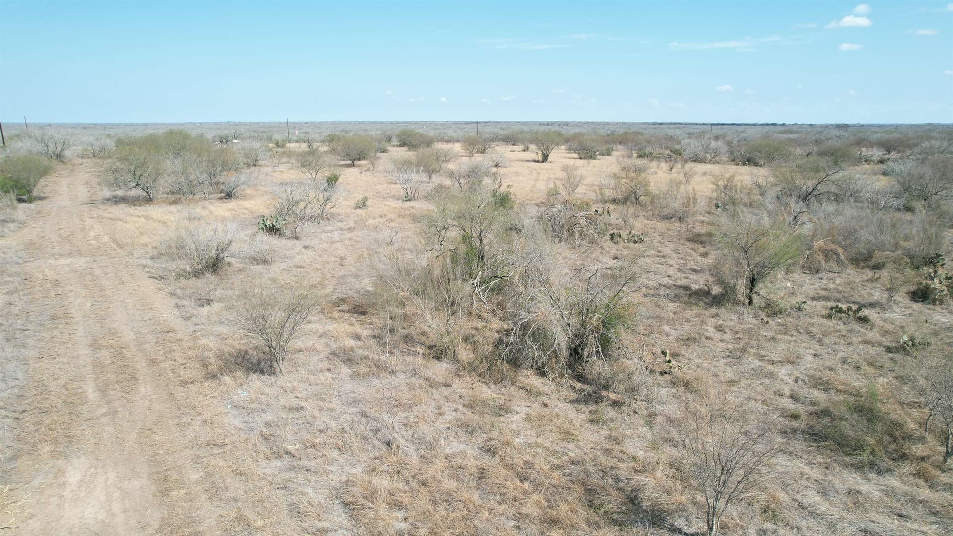 25 acres in Jim Wells County gallery image 3