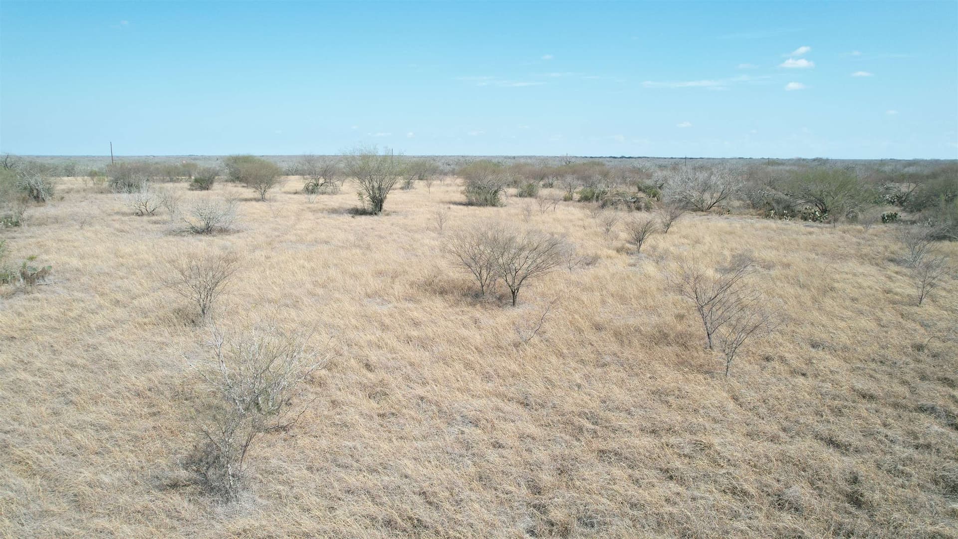 25 acres in Jim Wells County gallery image 2