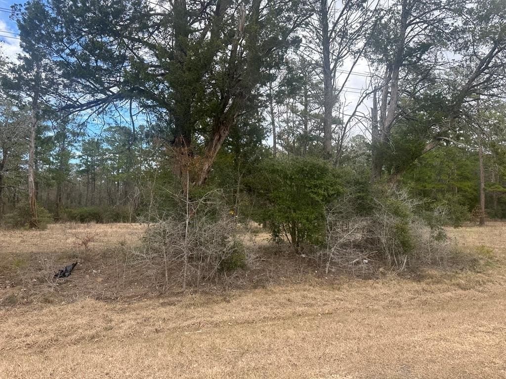 3.73 acres in Texas County featured view