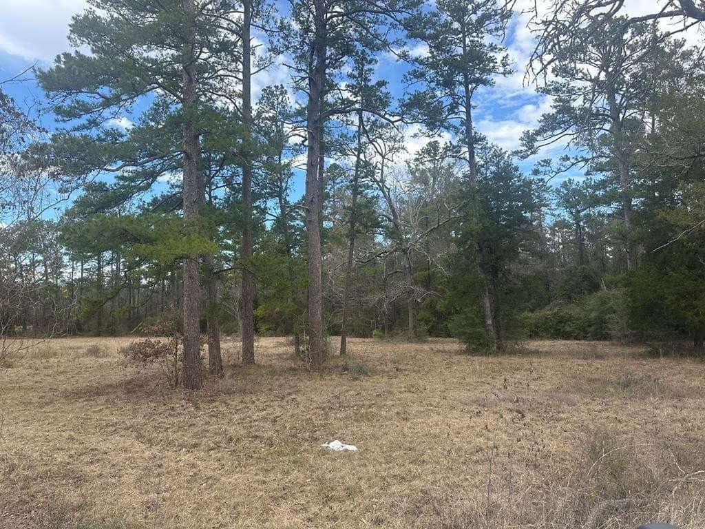 3.73 acres in Texas County