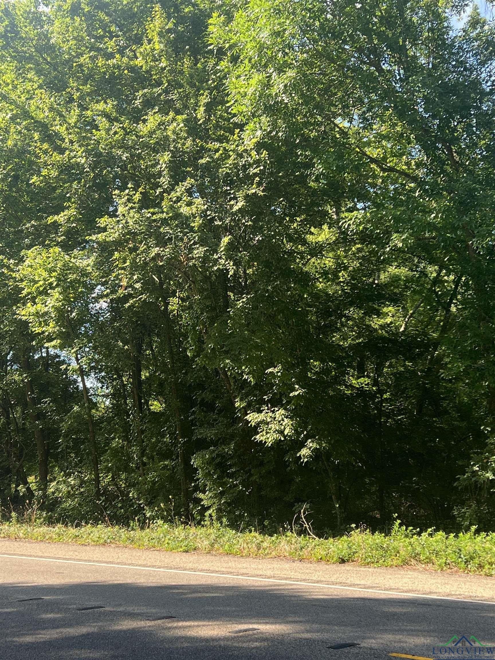 52.63 acres in Titus County gallery image 2