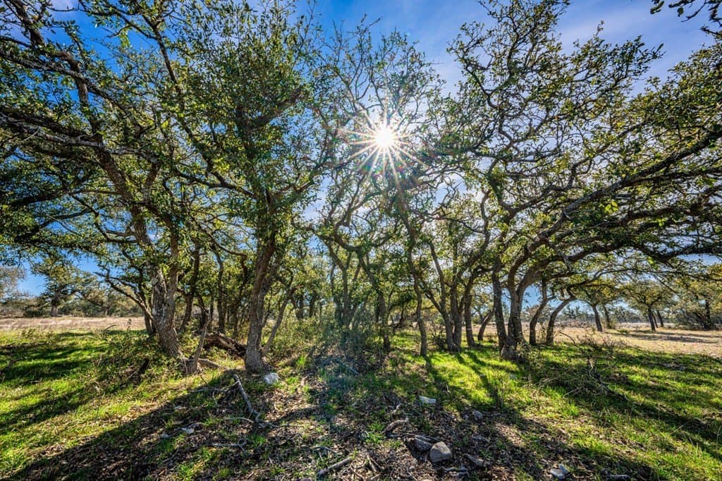 6.53 acres in Gillespie County featured view