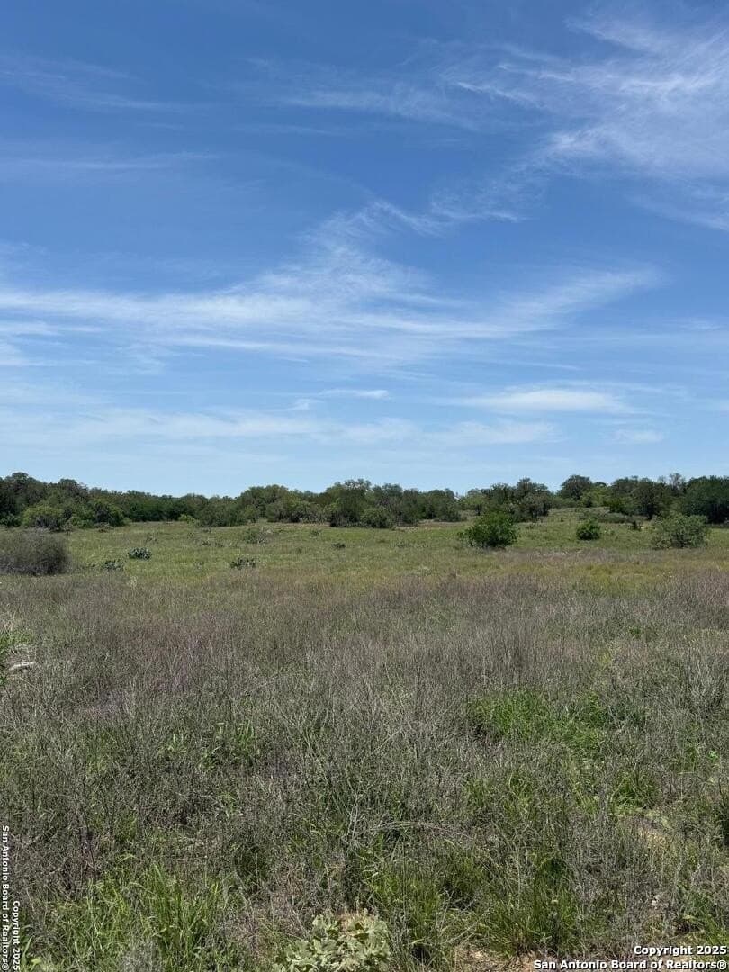 10.01 acres in Atascosa County - photo 15