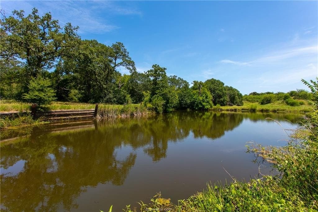 23.51 acres in Brazos County gallery image 3