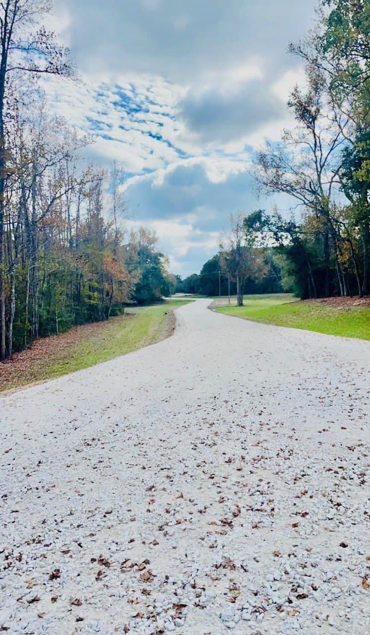 10.94 acres in Leon County - photo 4