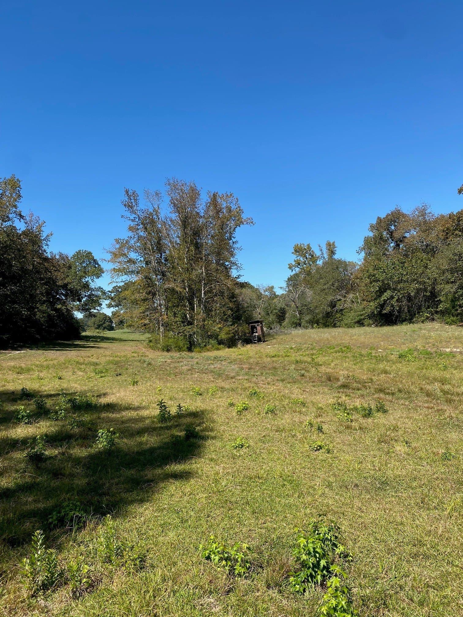 10.94 acres in Leon County - photo 6