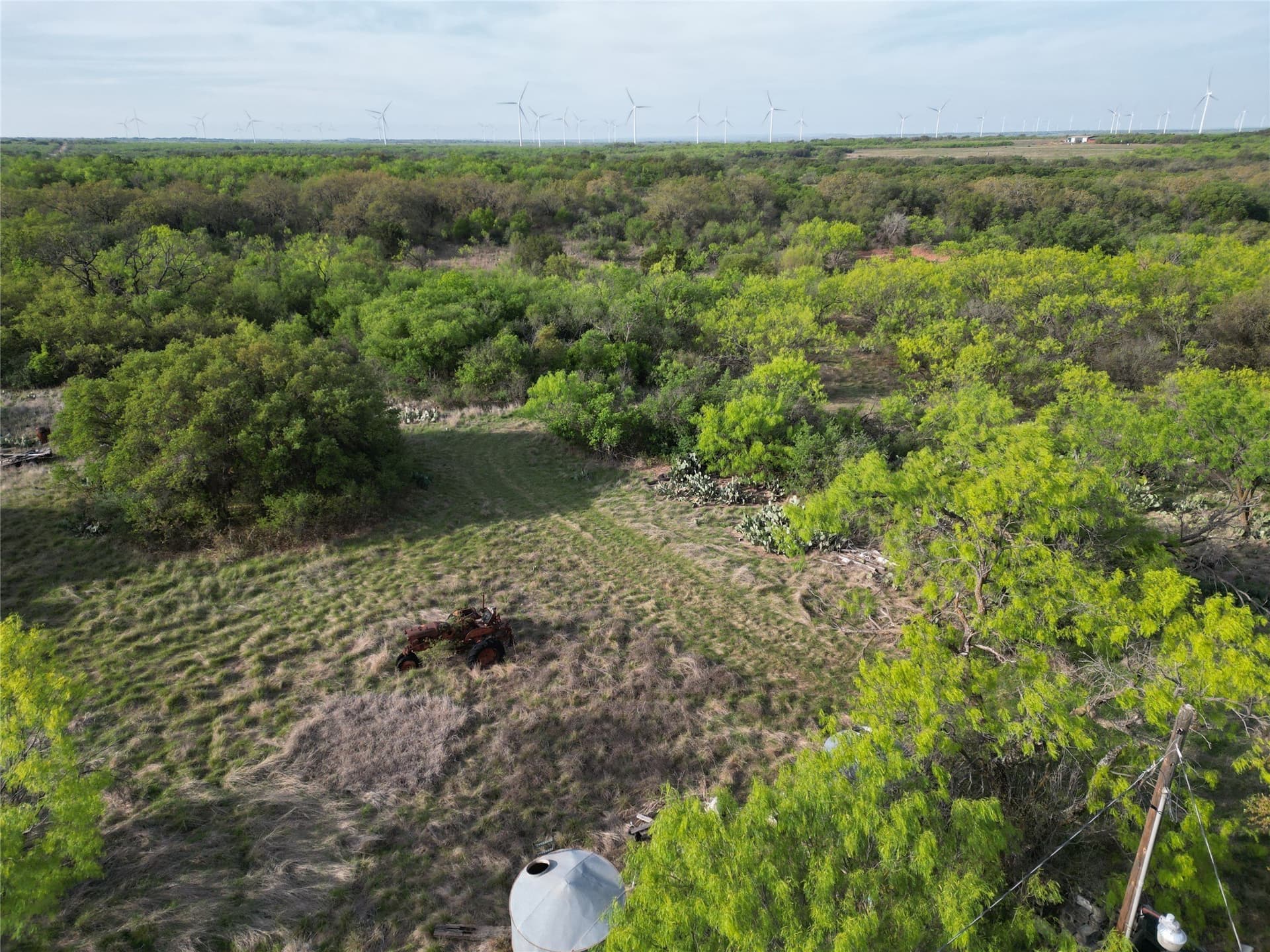 35 acres in Eastland County gallery image 4