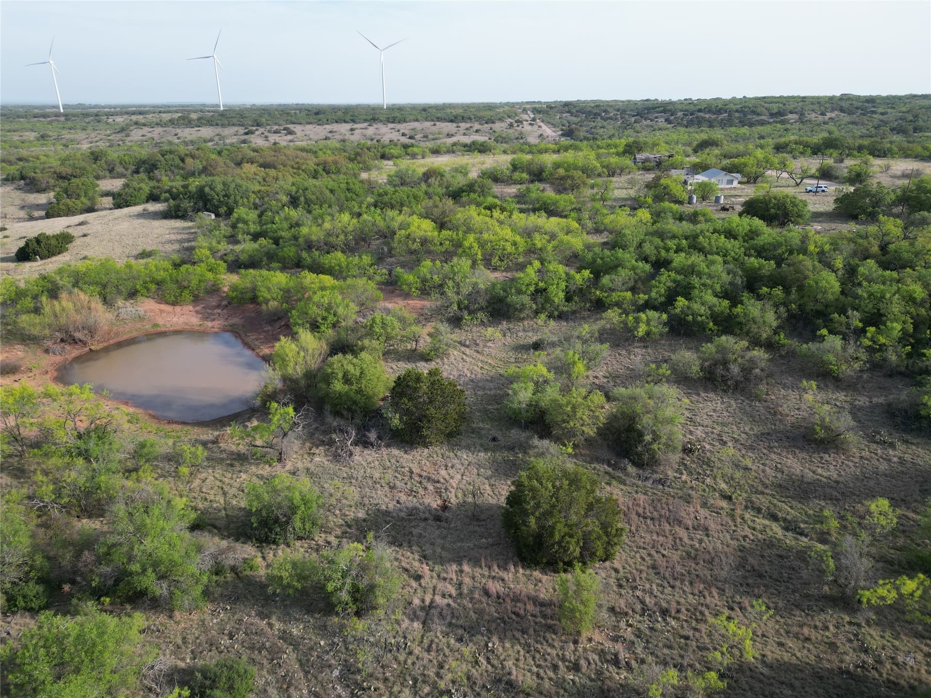 35 acres in Eastland County gallery image 2