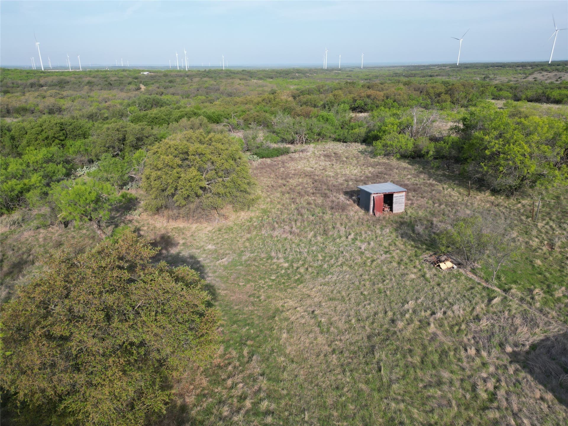 35 acres in Eastland County gallery image 3