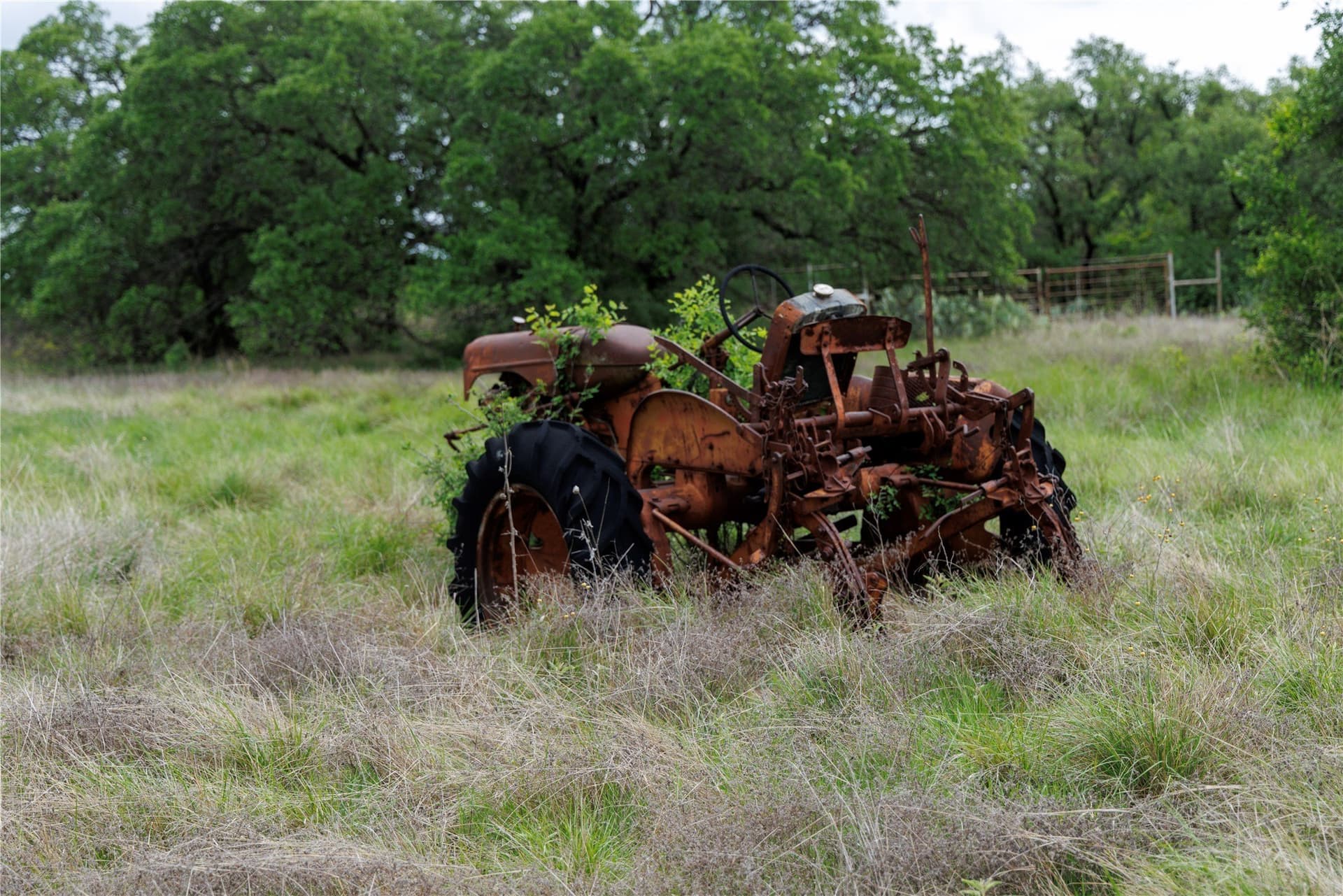 35 acres in Eastland County featured view