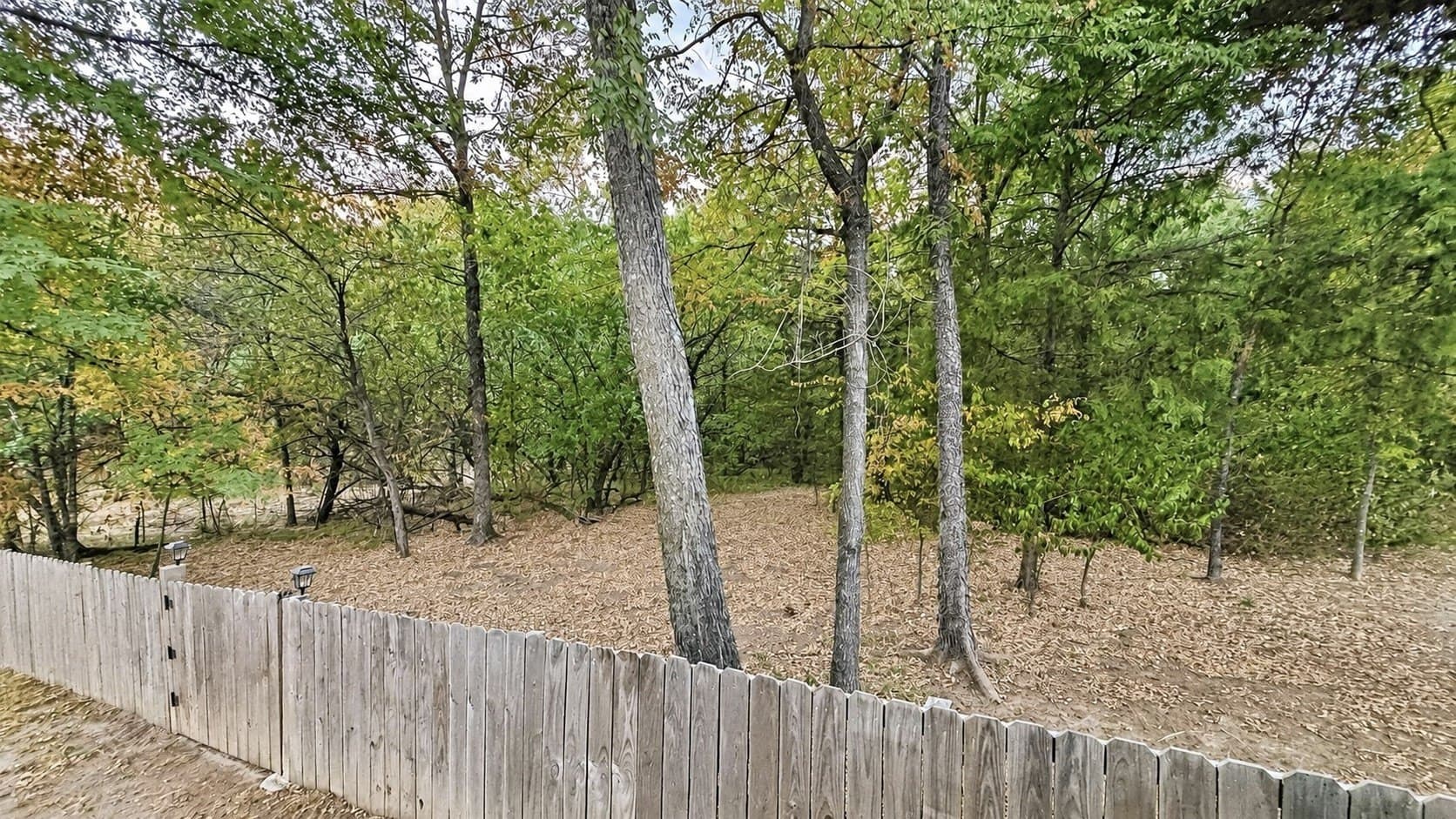 0.26 acres in Wood County - photo 16