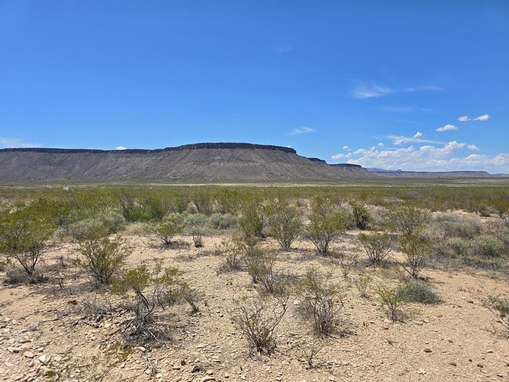 79.45 acres in Brewster County