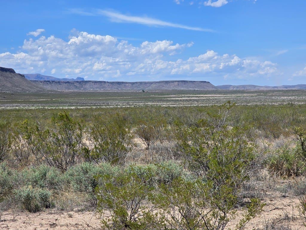79.45 acres in Brewster County - photo 8