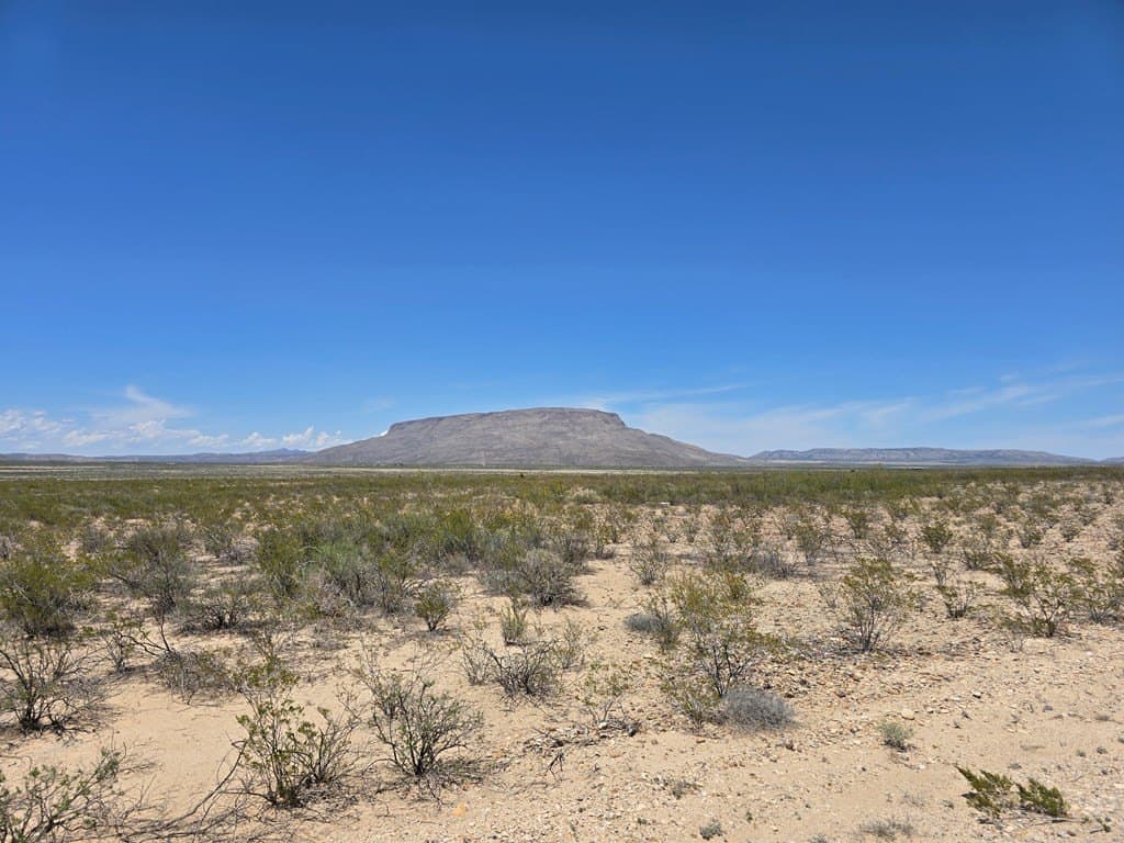 79.45 acres in Brewster County gallery image 3