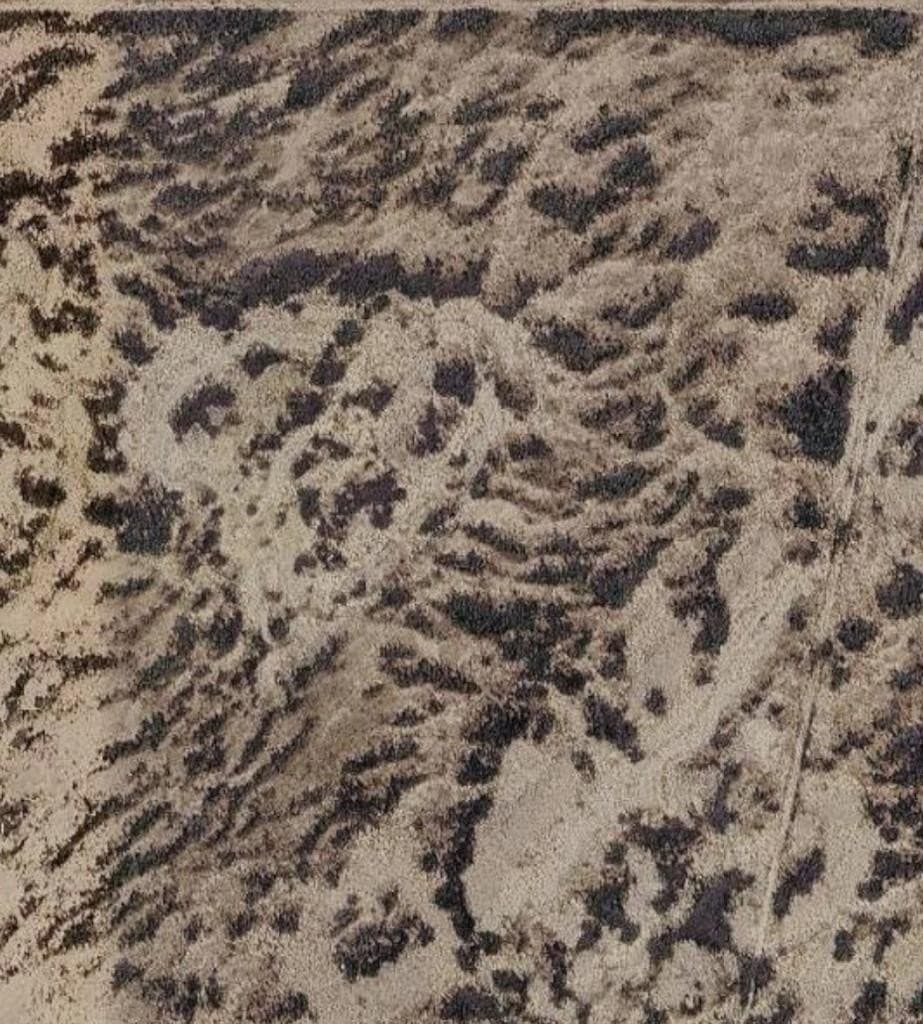 79.45 acres in Brewster County - photo 11
