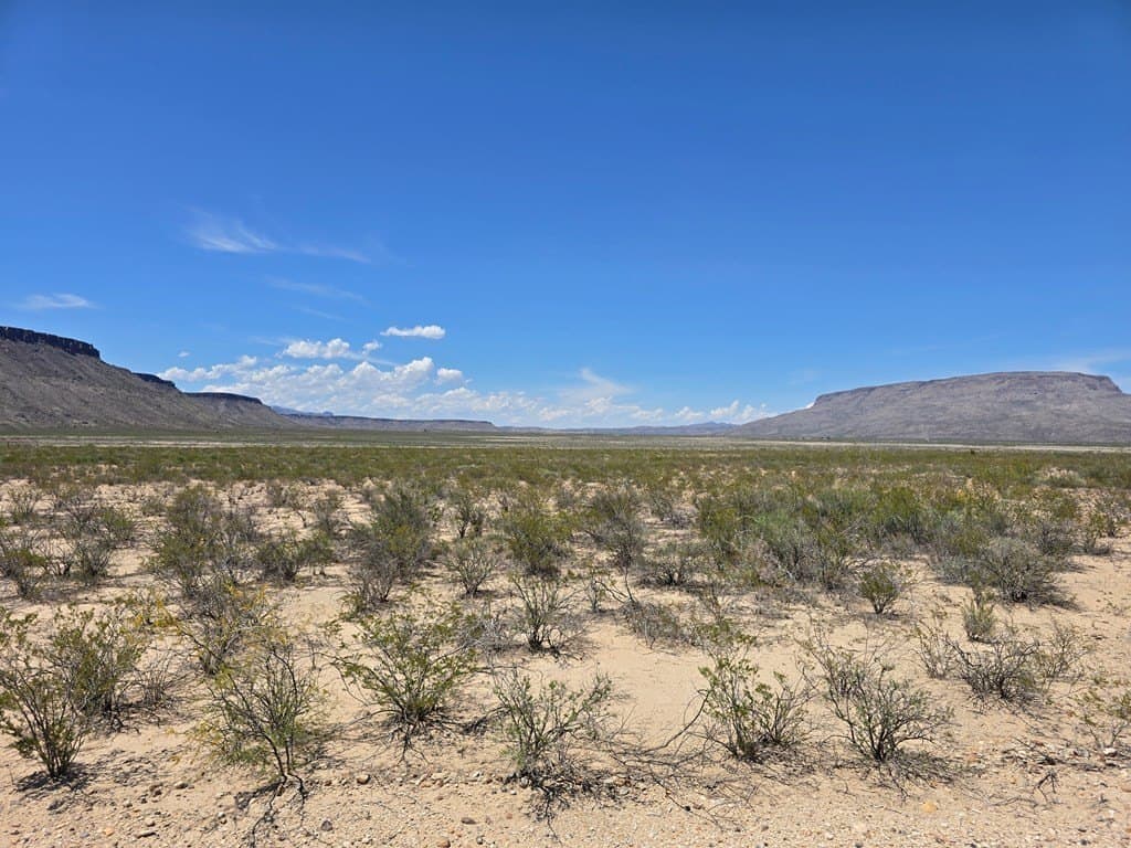 79.45 acres in Brewster County gallery image 2