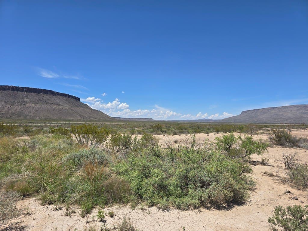 79.45 acres in Brewster County - photo 6