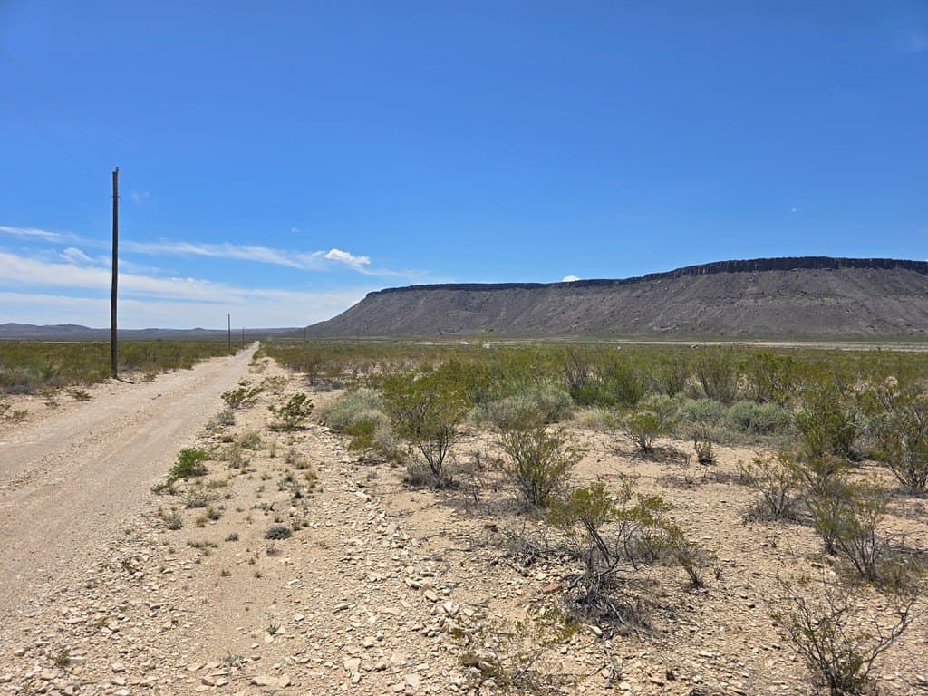 79.45 acres in Brewster County featured view