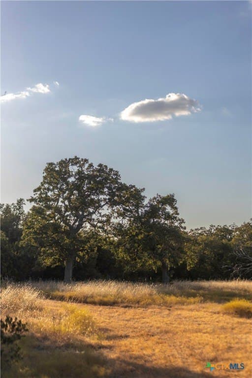 18.15 acres in Gillespie County gallery image 3