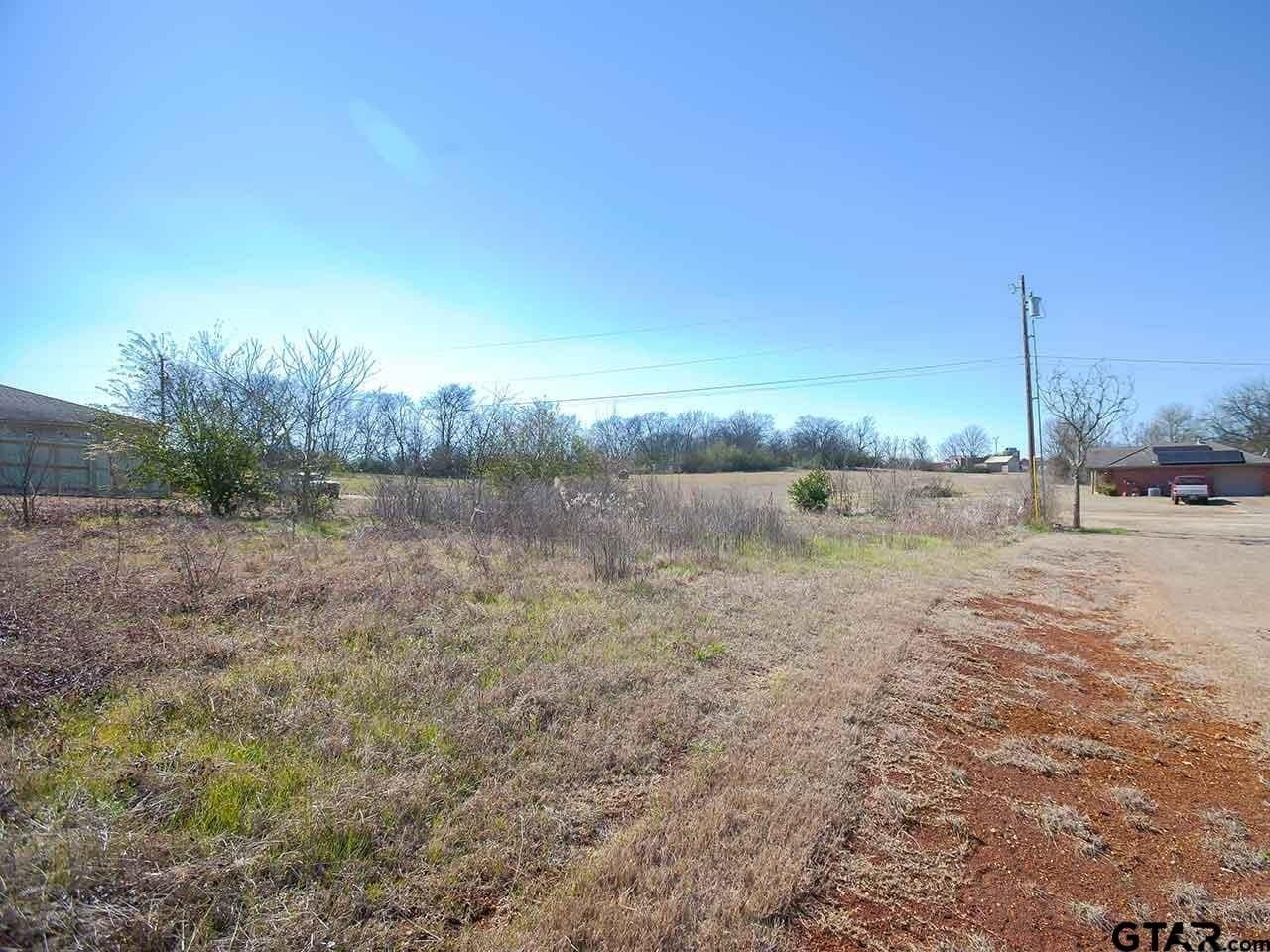 0.39 acres in Smith County - photo 9