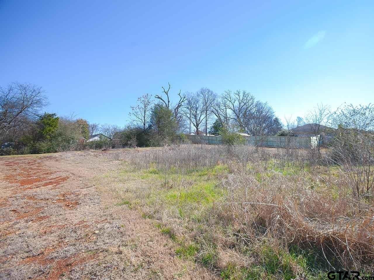 0.39 acres in Smith County - photo 10