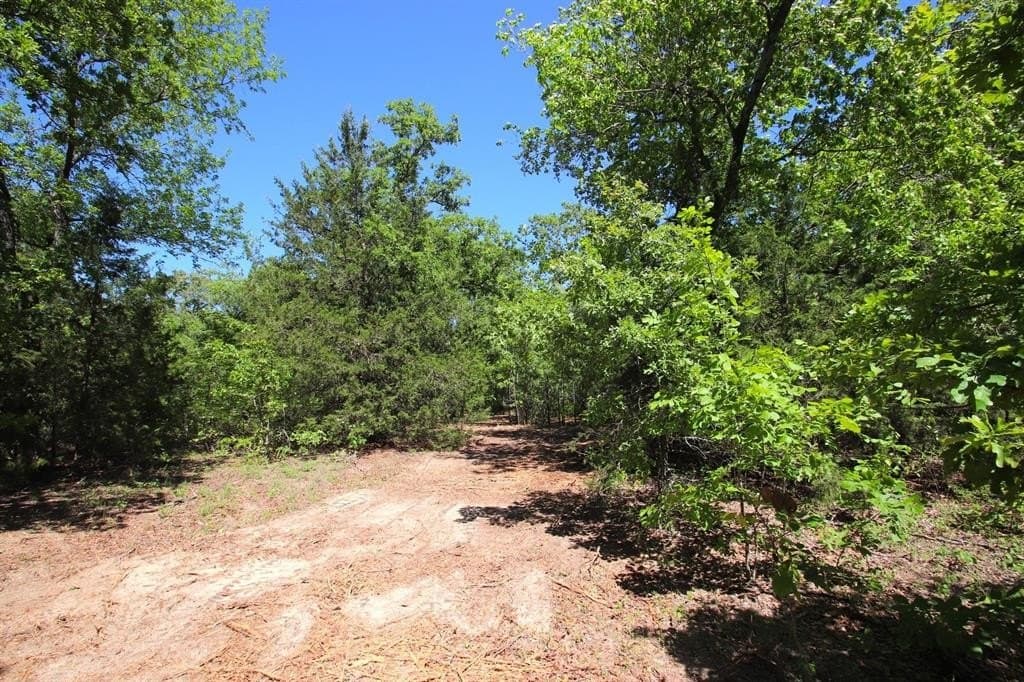 59.08 acres in Wood County featured view