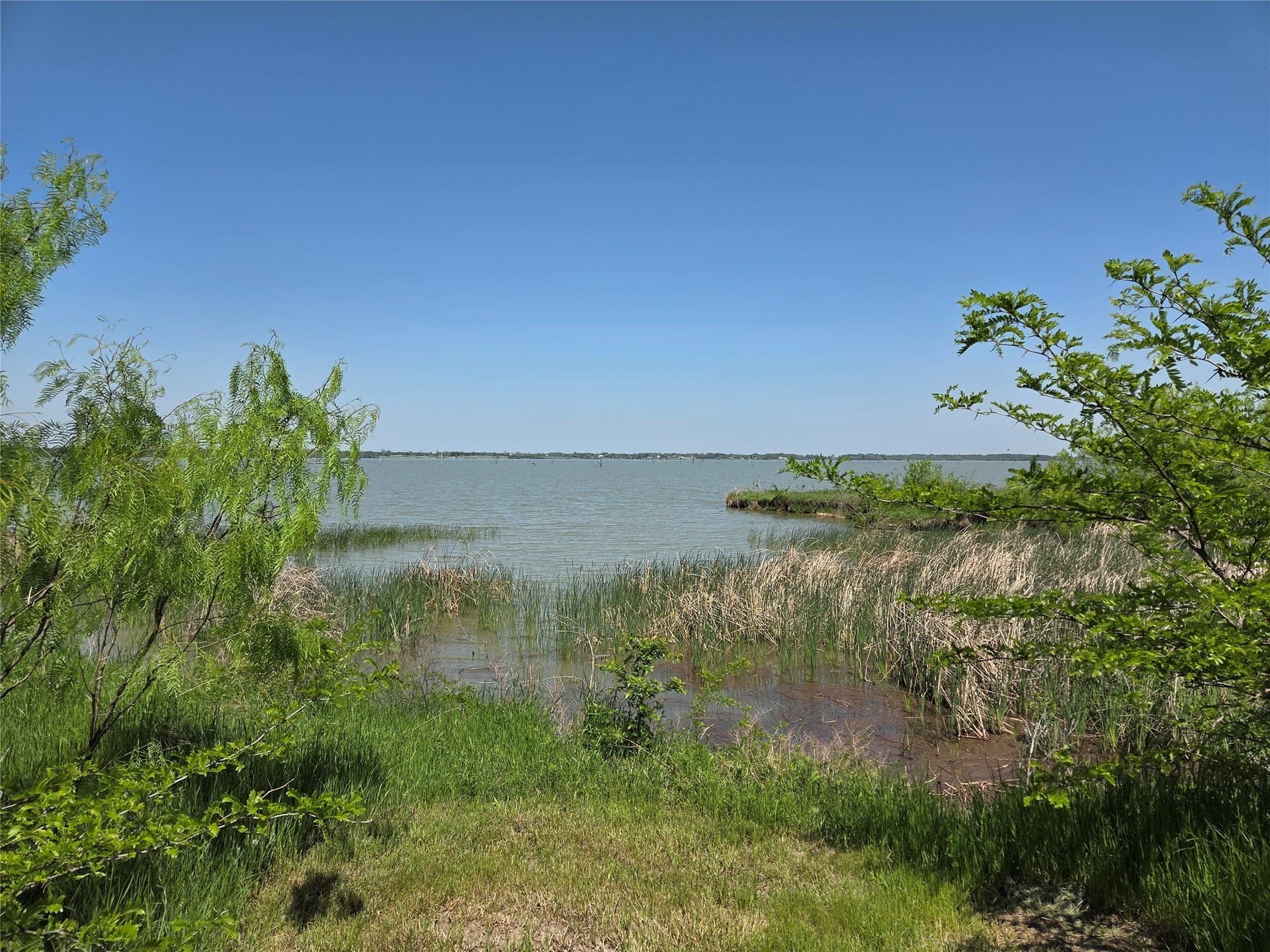 1.67 acres in Navarro County gallery image 2
