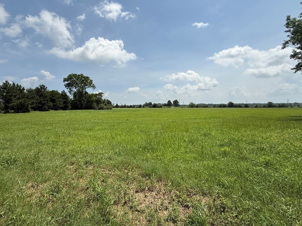 1 acres in Texas County gallery image 3