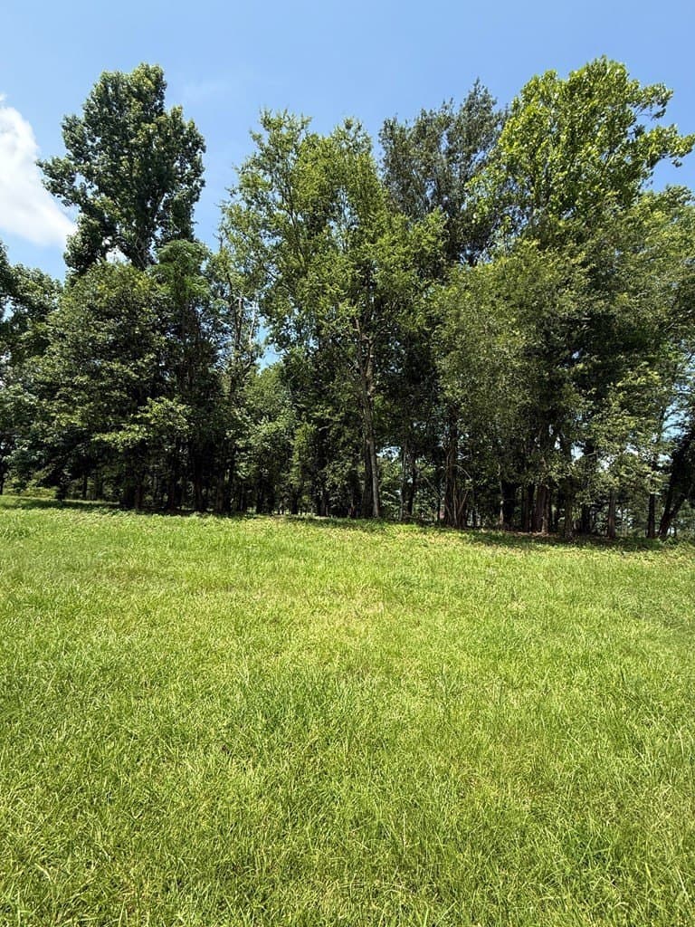 1 acres in Texas County gallery image 4