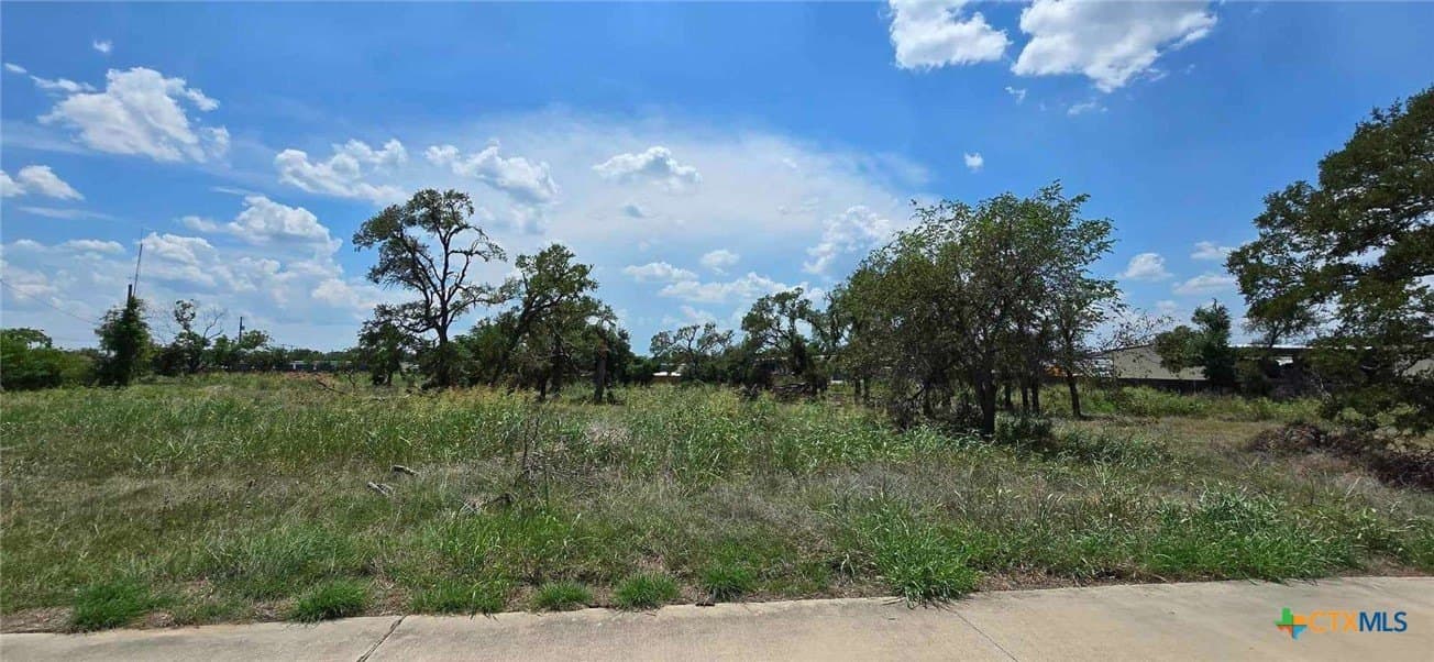 4.5 acres in Bell County - photo 6