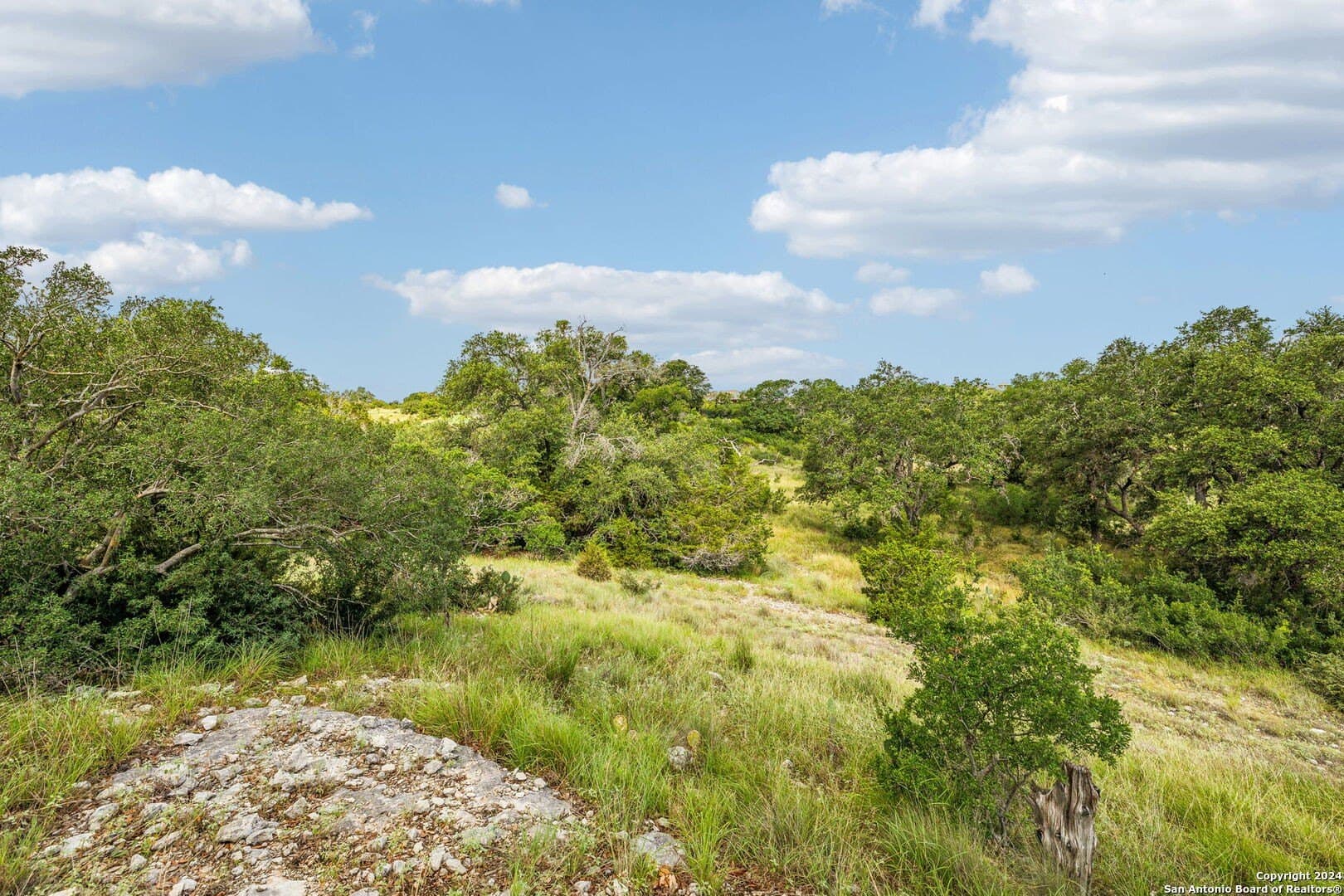 1.86 acres in Comal County gallery image 4