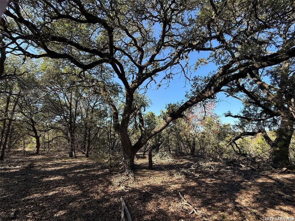 6.01 acres in Hays County - photo 6