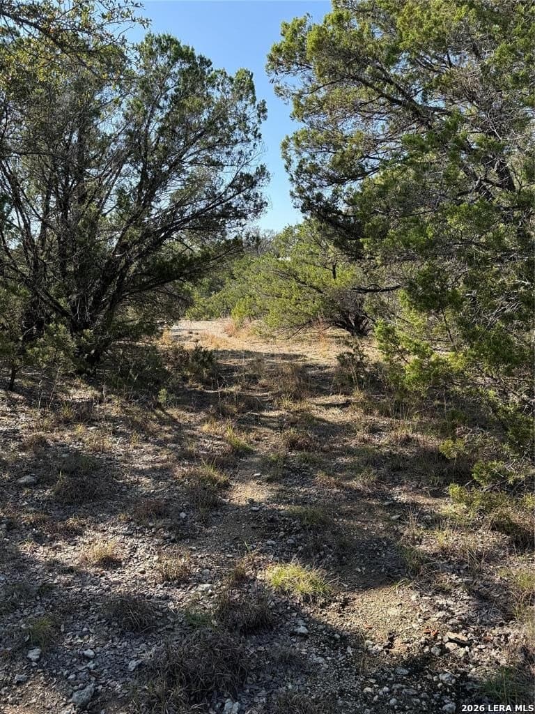 6.01 acres in Hays County - photo 8