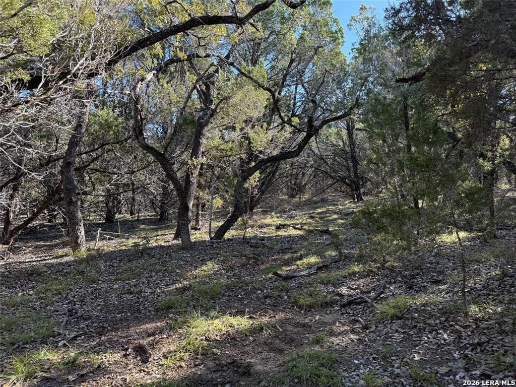 6.01 acres in Hays County gallery image 4