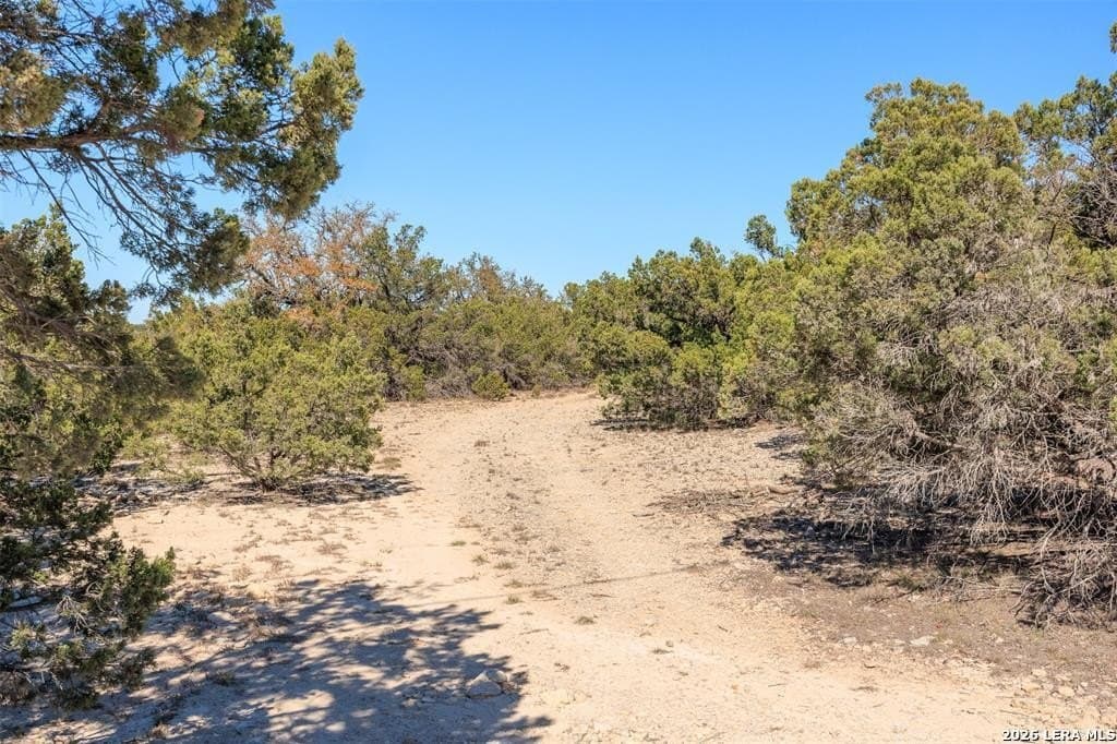 6.01 acres in Hays County - photo 7