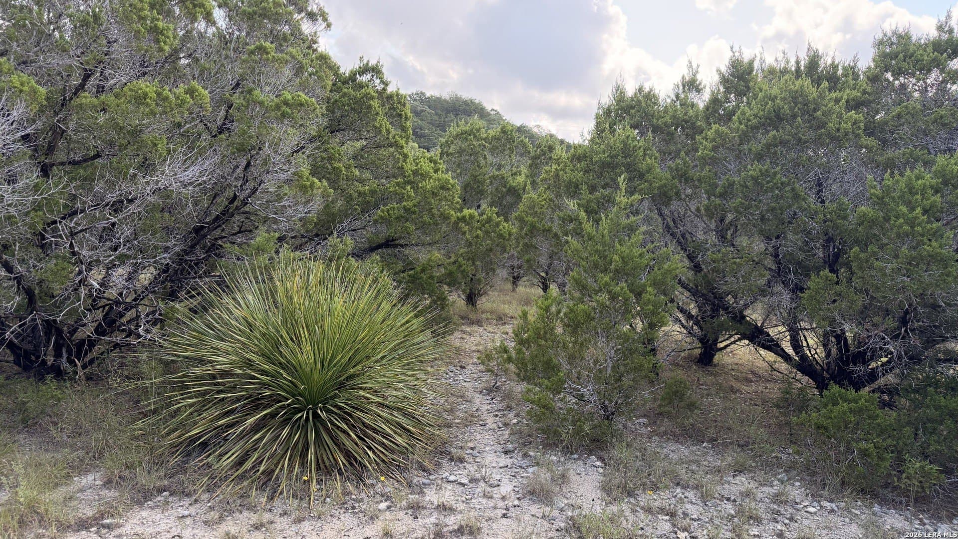 0.27 acres in Comal County - photo 4