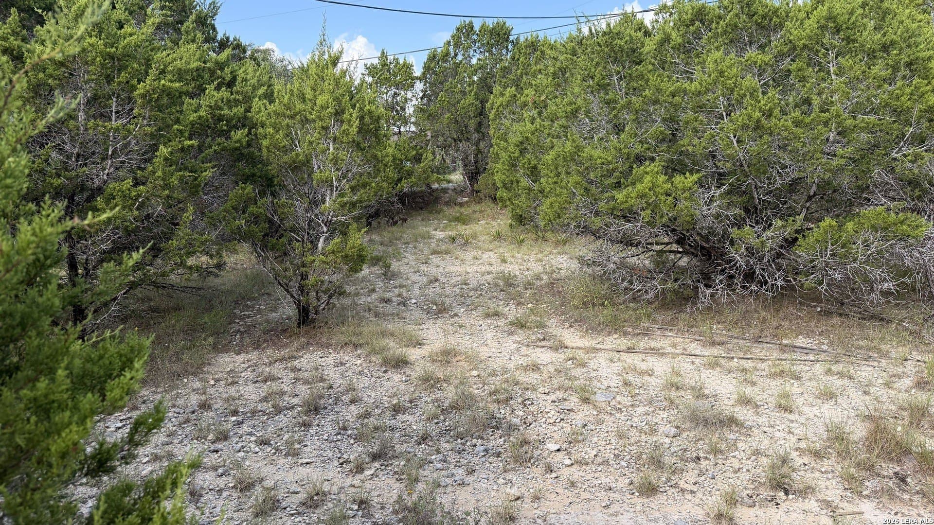 0.27 acres in Comal County - photo 5