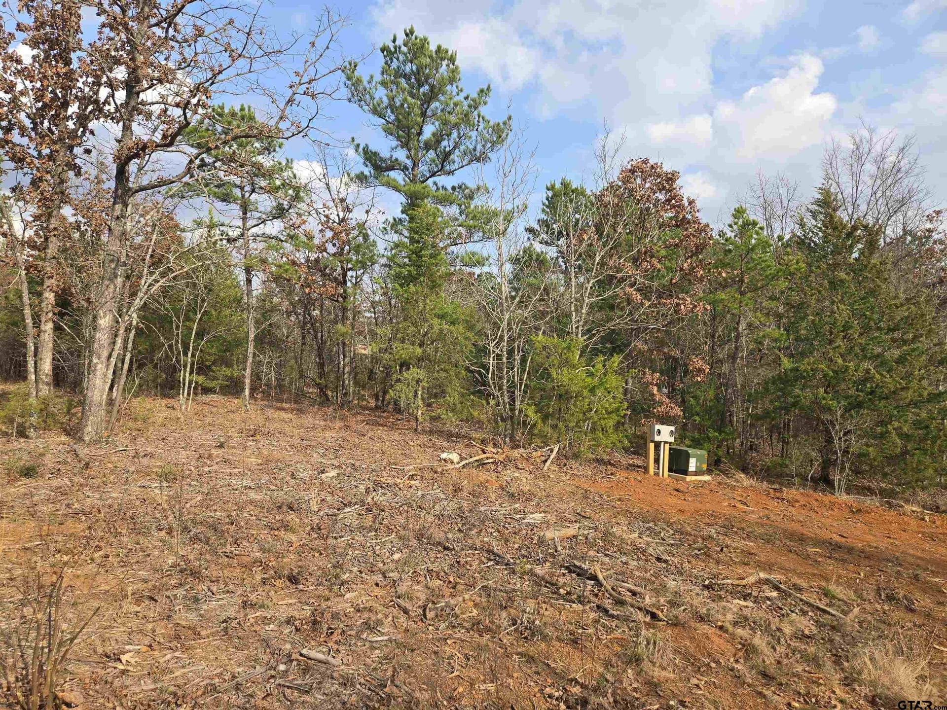 15 acres in Smith County gallery image 3