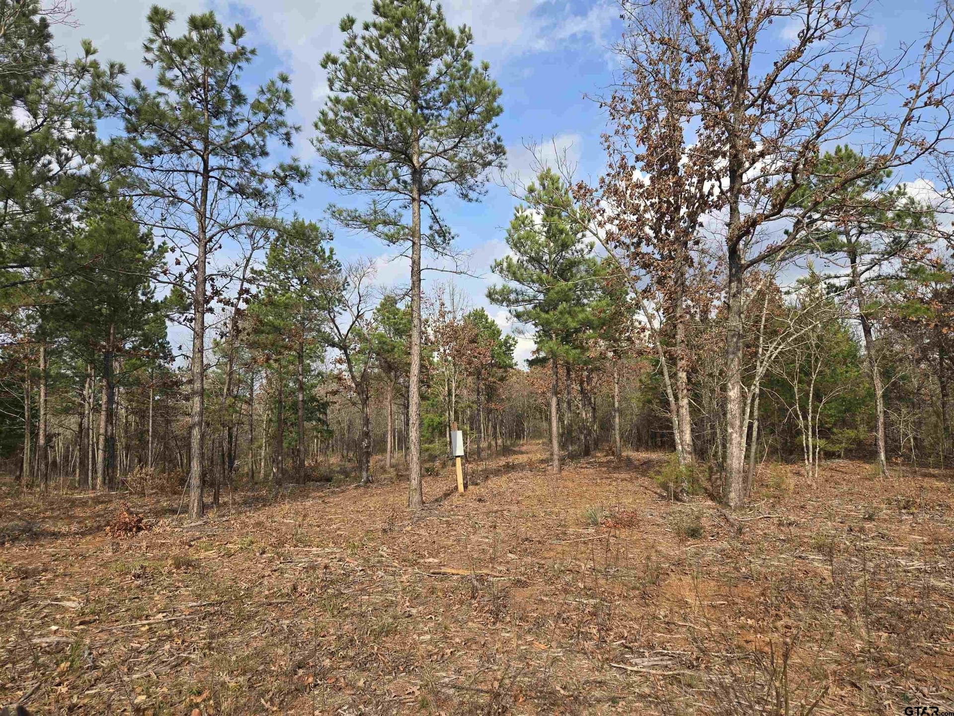 15 acres in Smith County gallery image 4