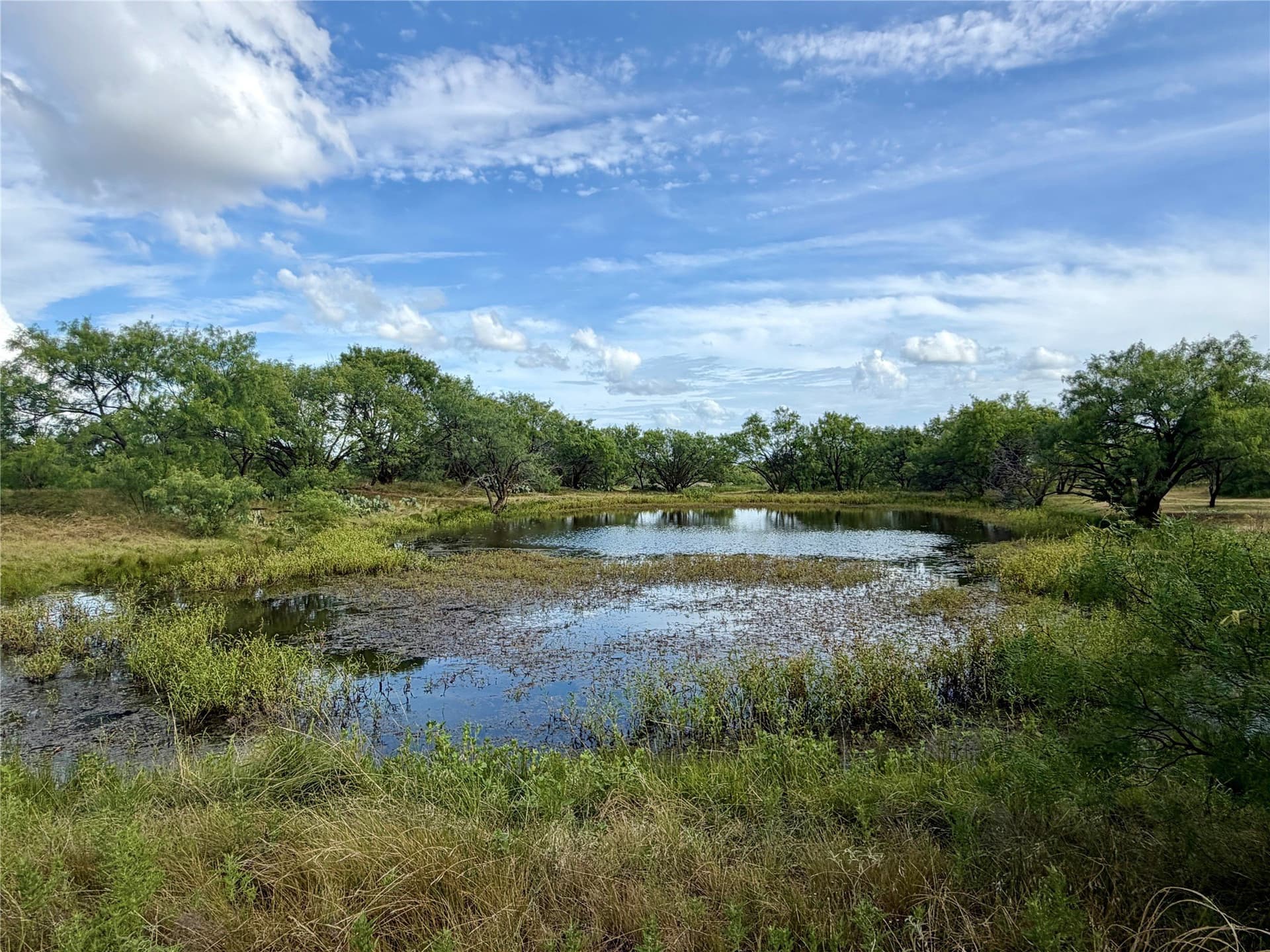 59.9 acres in Archer County - photo 24
