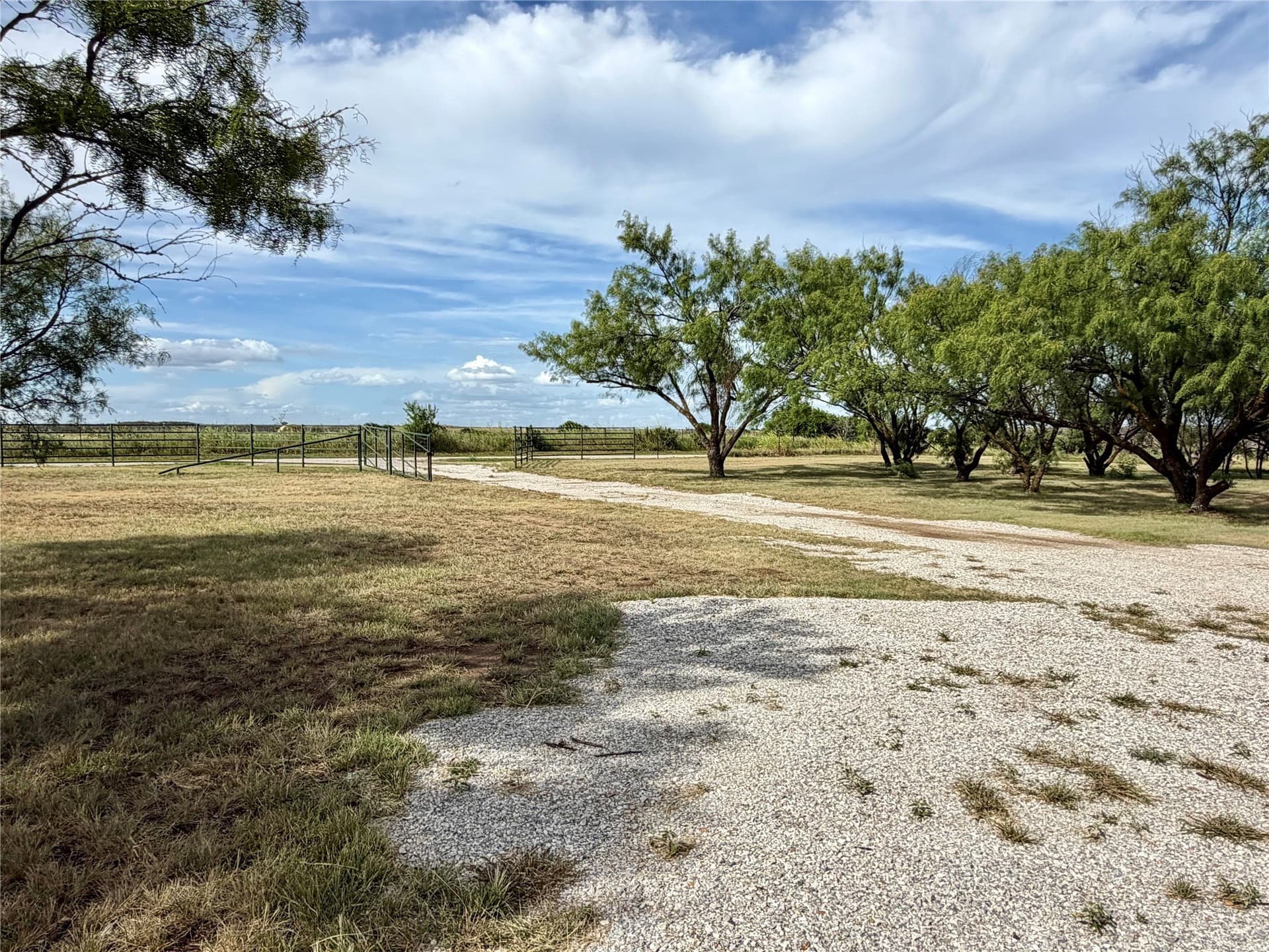 59.9 acres in Archer County - photo 3