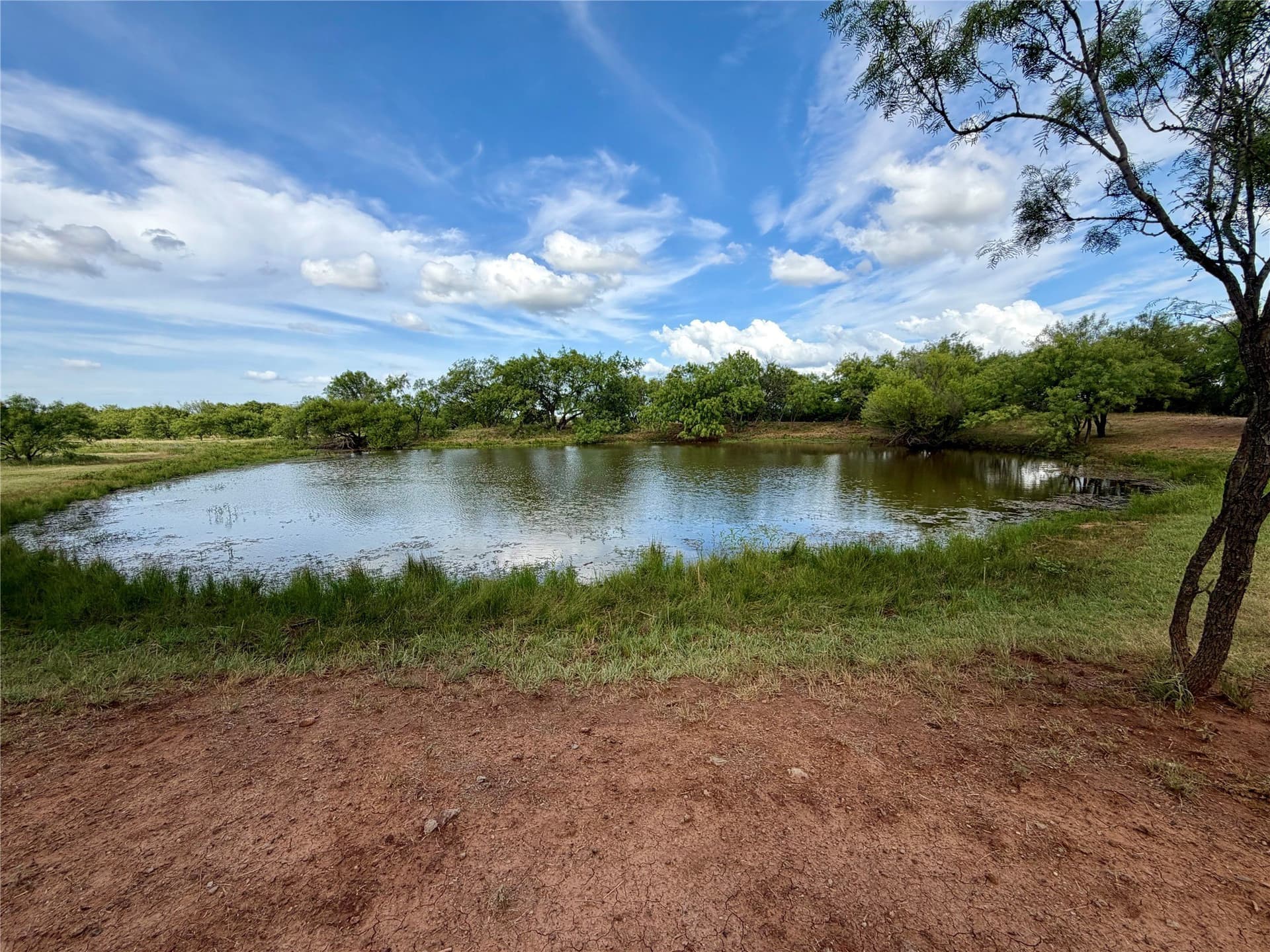 59.9 acres in Archer County - photo 23
