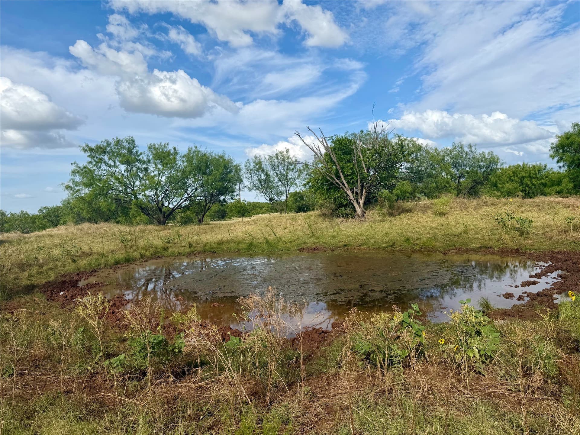 59.9 acres in Archer County - photo 25